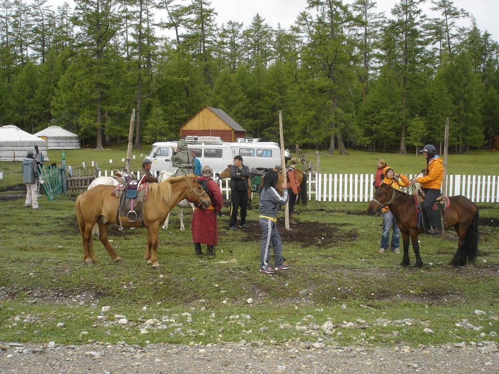 Sunpath Mongolia Tour & Hostel أولان باتور الغرفة الصورة