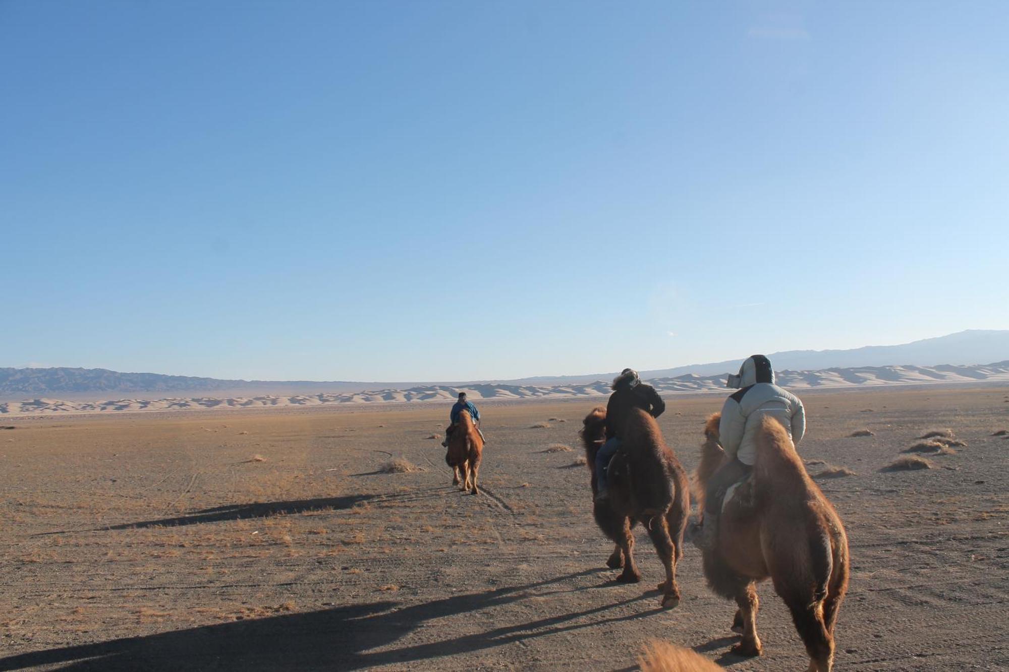 Sunpath Mongolia Tour & Hostel أولان باتور المظهر الخارجي الصورة